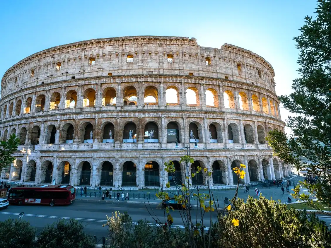 Colosseum Underground Hypogeum premium tour with licensed guide
