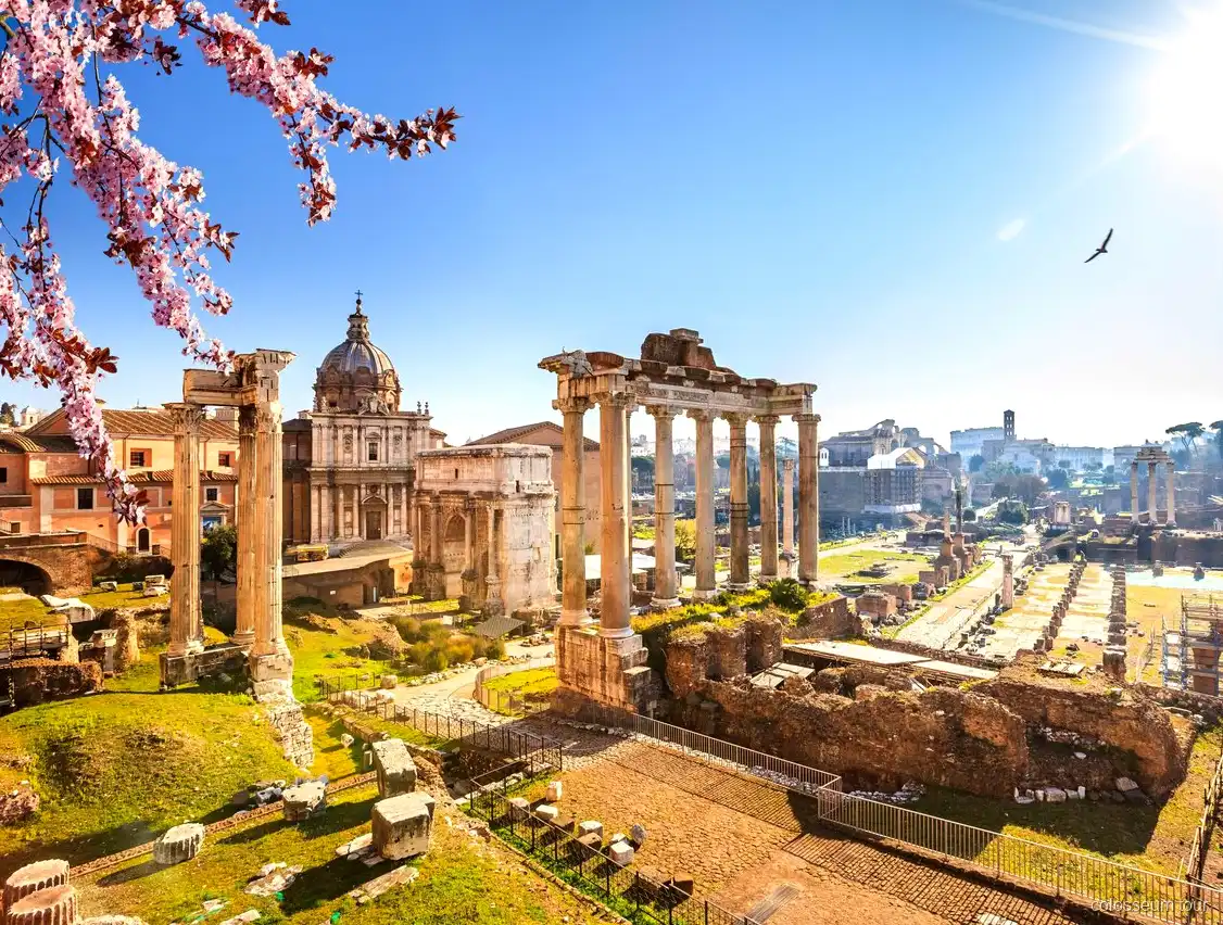 Vatican Museums afternoon visit on the Colosseum combo tour